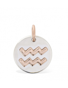 DoDo Charm Zodiac Acquario