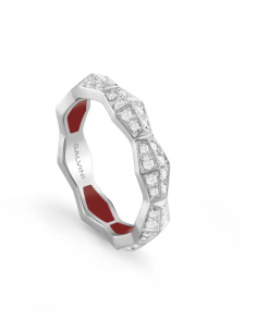Anello Salvini 2